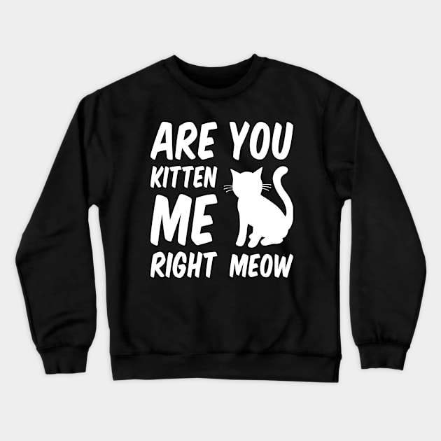 Are You Kitten Me Right Meow - White Cat Crewneck Sweatshirt by Everydayoutfit